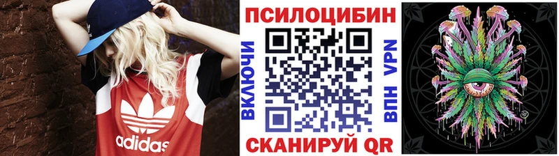 Галлюциногенные грибы GOLDEN TEACHER  наркота  Грайворон 